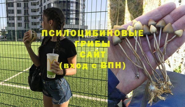 apvp Алексеевка