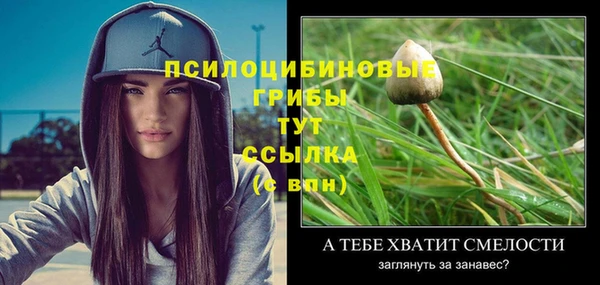 ПСИЛОЦИБИНОВЫЕ ГРИБЫ Алзамай